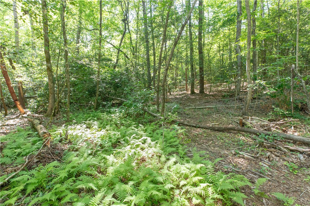 00A Chalmers Mountain Road