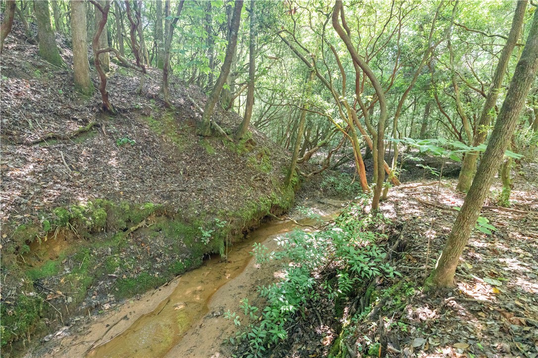 00A Chalmers Mountain Road