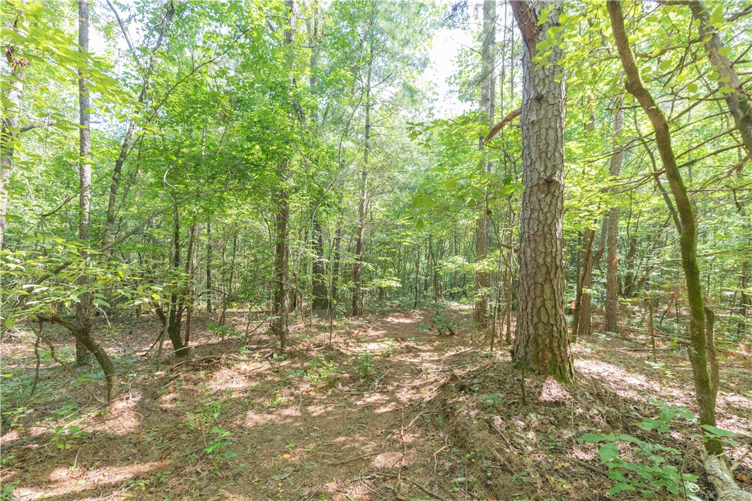 00A Chalmers Mountain Road