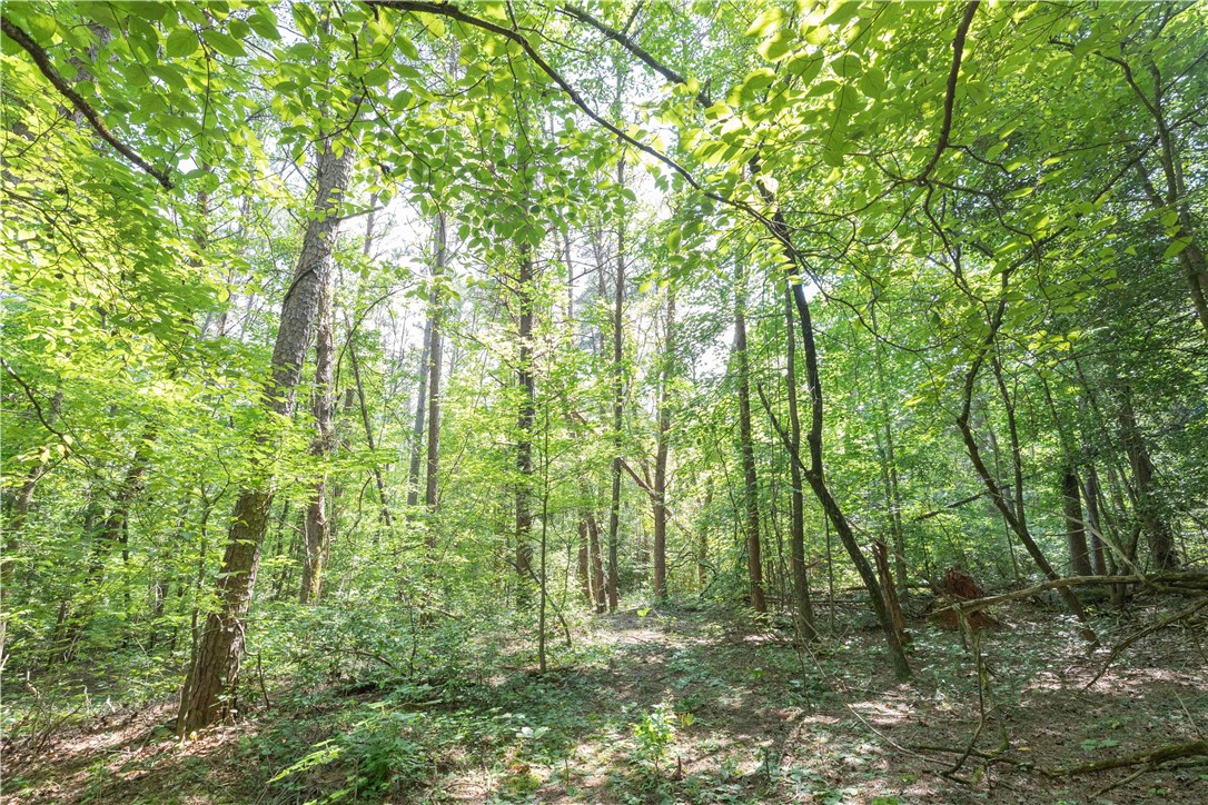 00A Chalmers Mountain Road