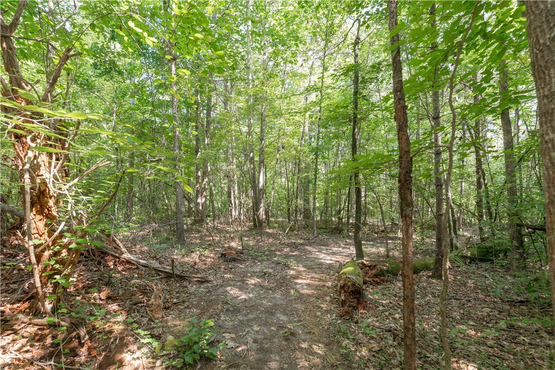 00A Chalmers Mountain Road