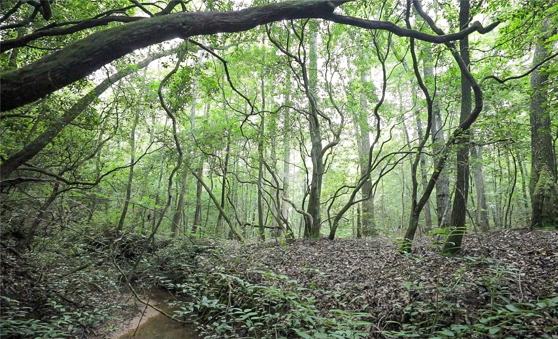 00A Chalmers Mountain Road