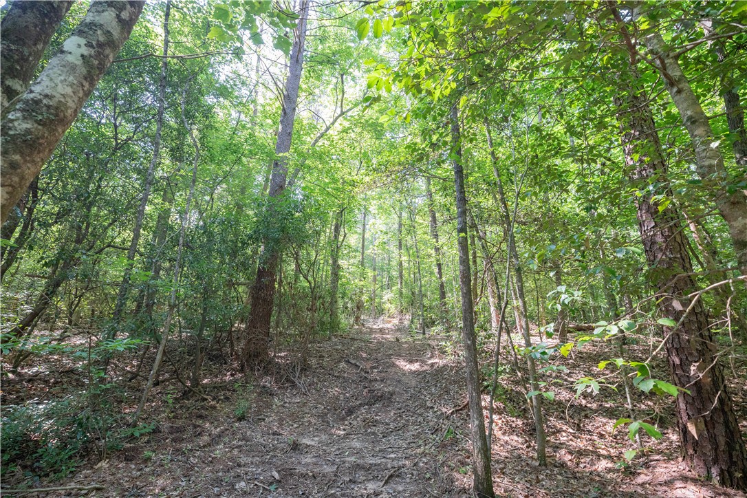 00A Chalmers Mountain Road