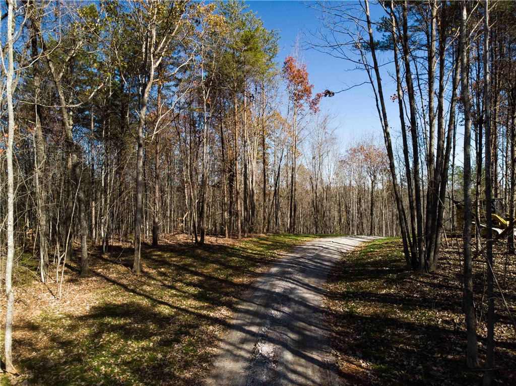 00A Chalmers Mountain Road
