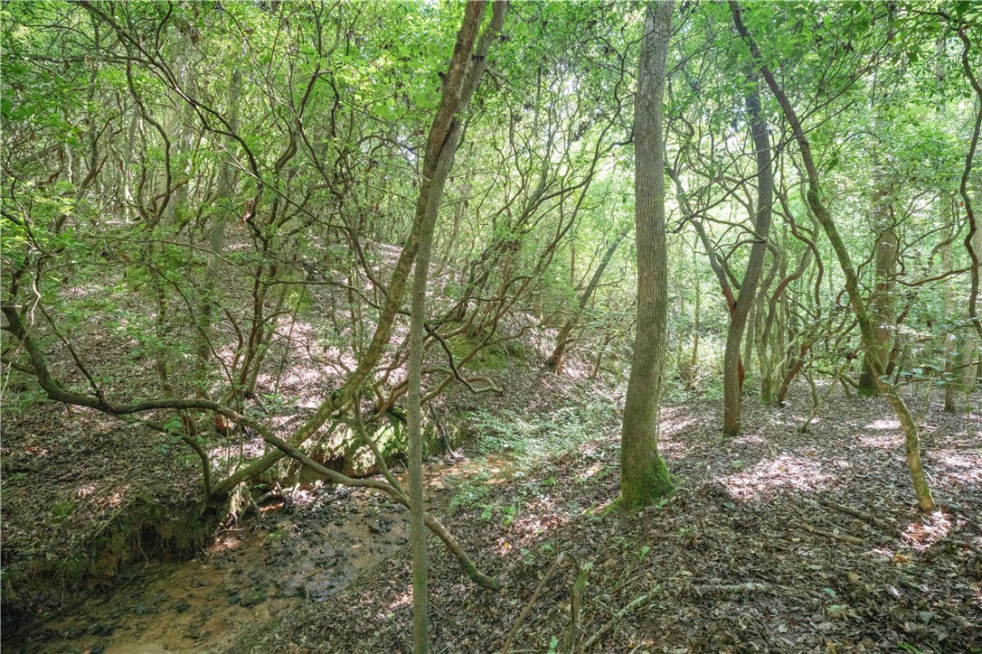 00A Chalmers Mountain Road