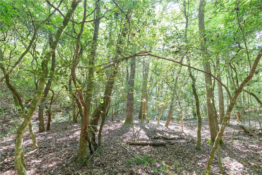 00A Chalmers Mountain Road