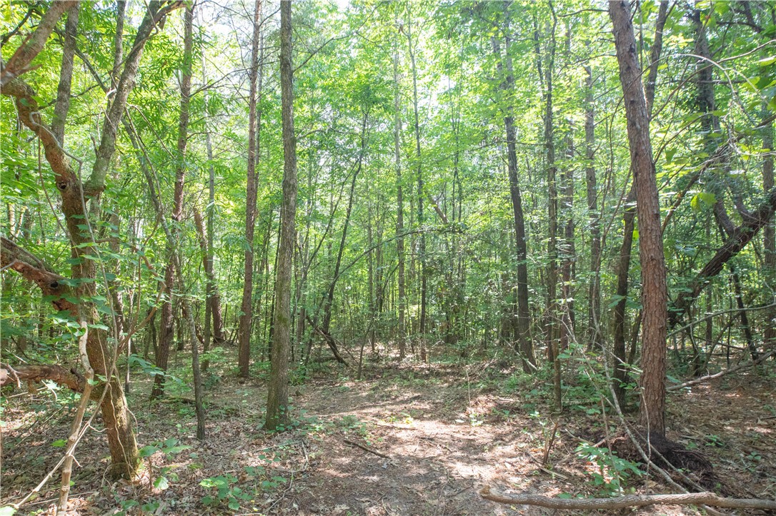 00A Chalmers Mountain Road