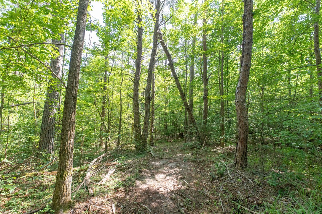 00A Chalmers Mountain Road