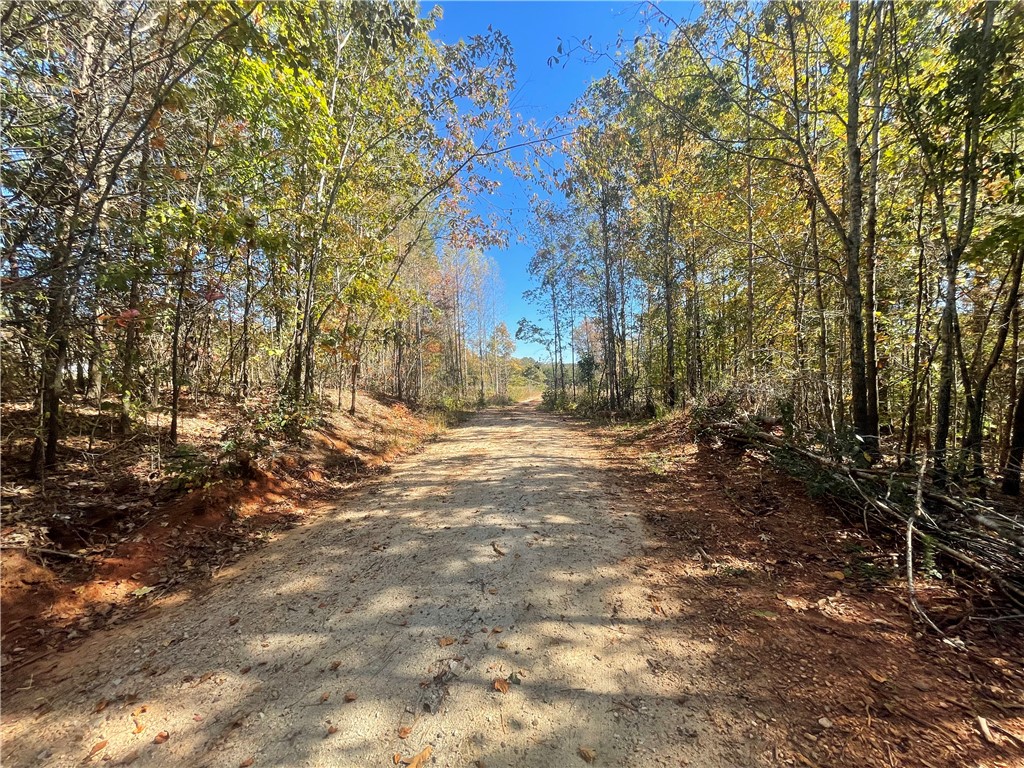 369 Springbrook Road