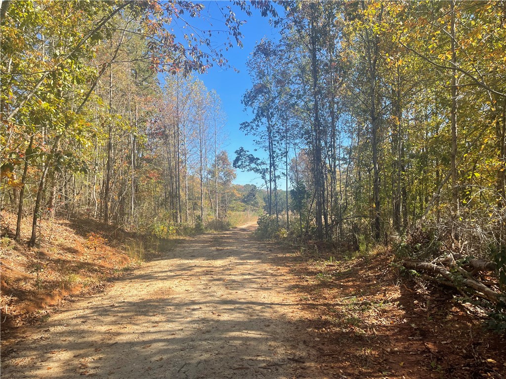 369 Springbrook Road