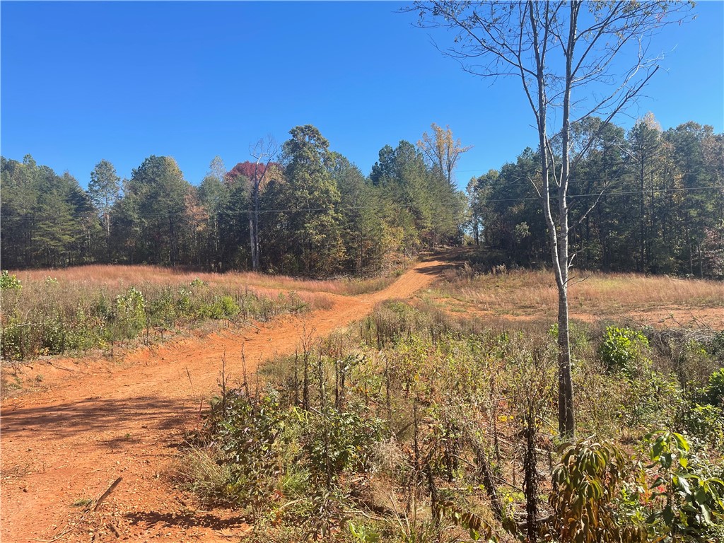 369 Springbrook Road