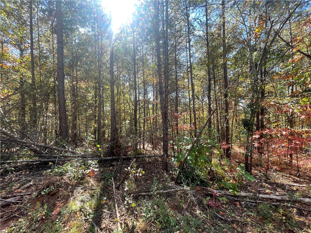 369 Springbrook Road