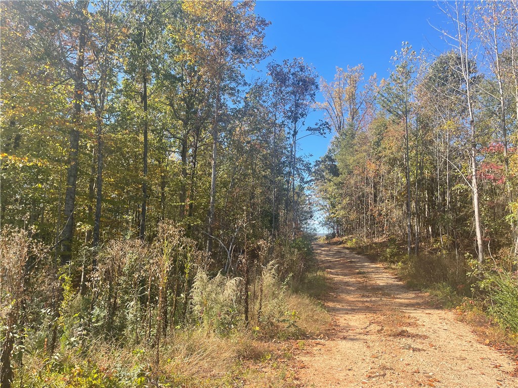 369 Springbrook Road