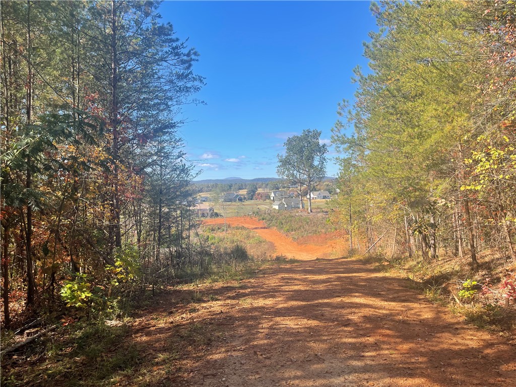 369 Springbrook Road