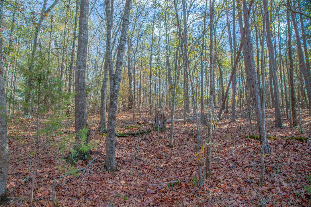 00 Holliday Dam Road