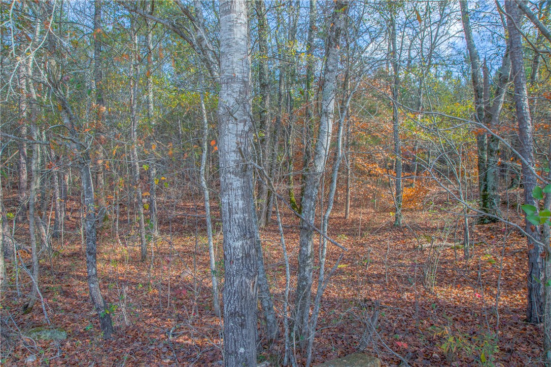 00 Holliday Dam Road