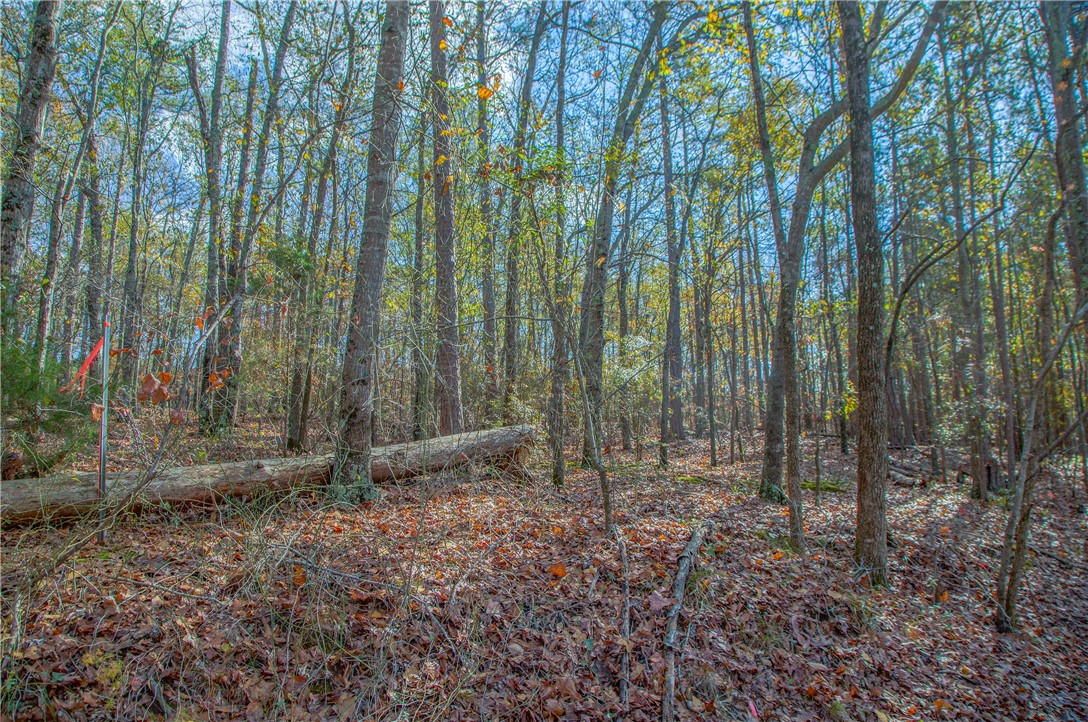 00 Holliday Dam Road