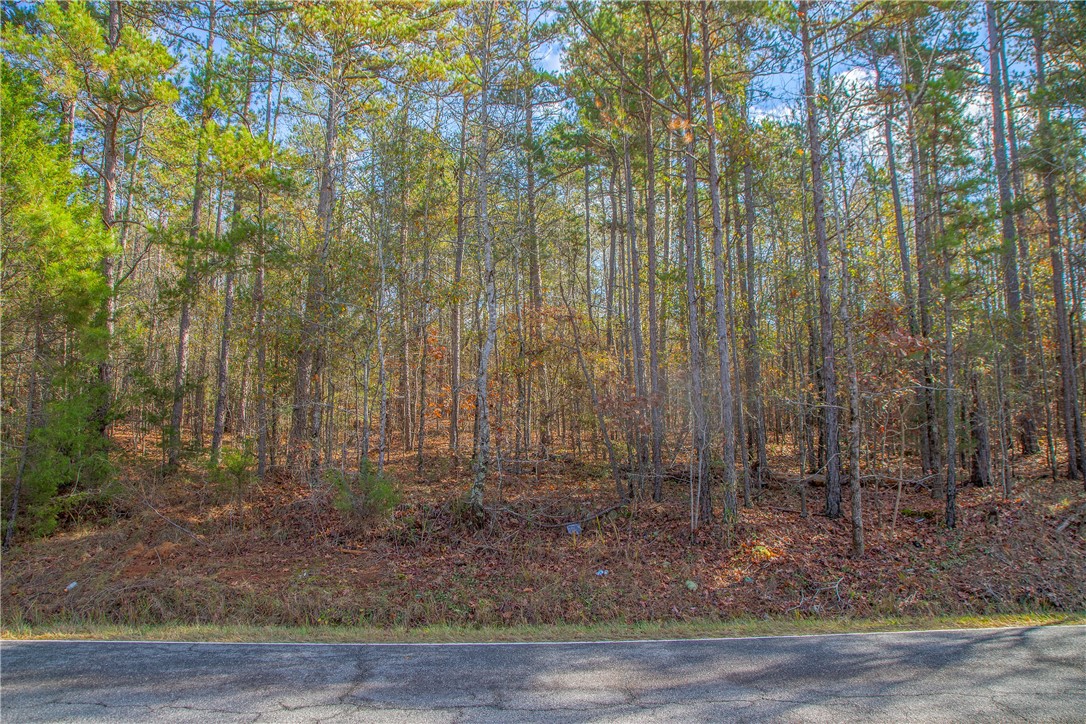 00 Holliday Dam Road