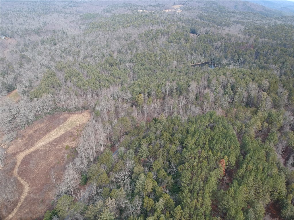 00-B Village Creek Road