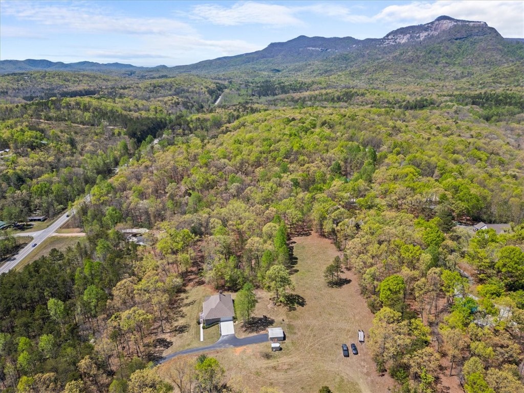 203 Ridge Springs Road