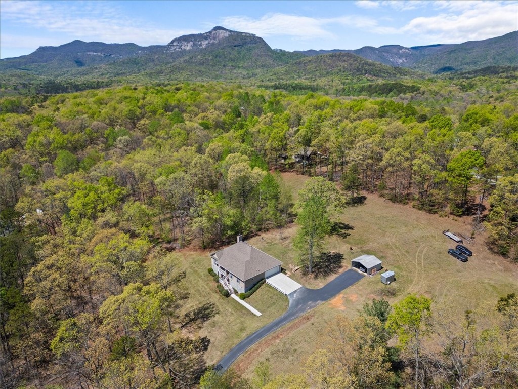 203 Ridge Springs Road