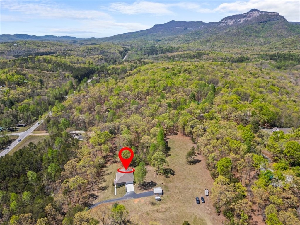 203 Ridge Springs Road