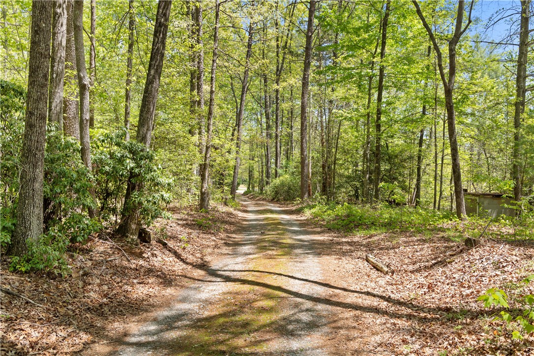 350 Tunnel Town Road