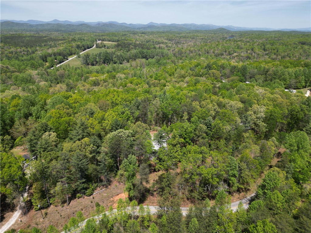 350 Tunnel Town Road