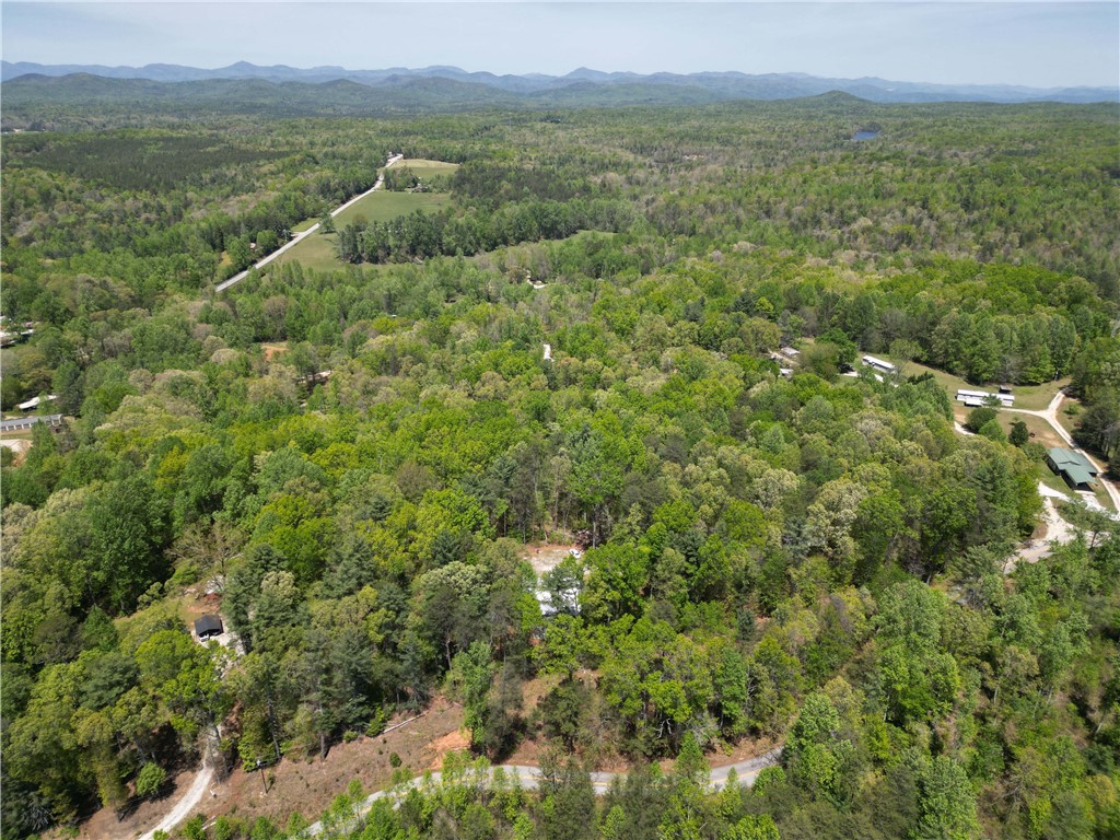 350 Tunnel Town Road