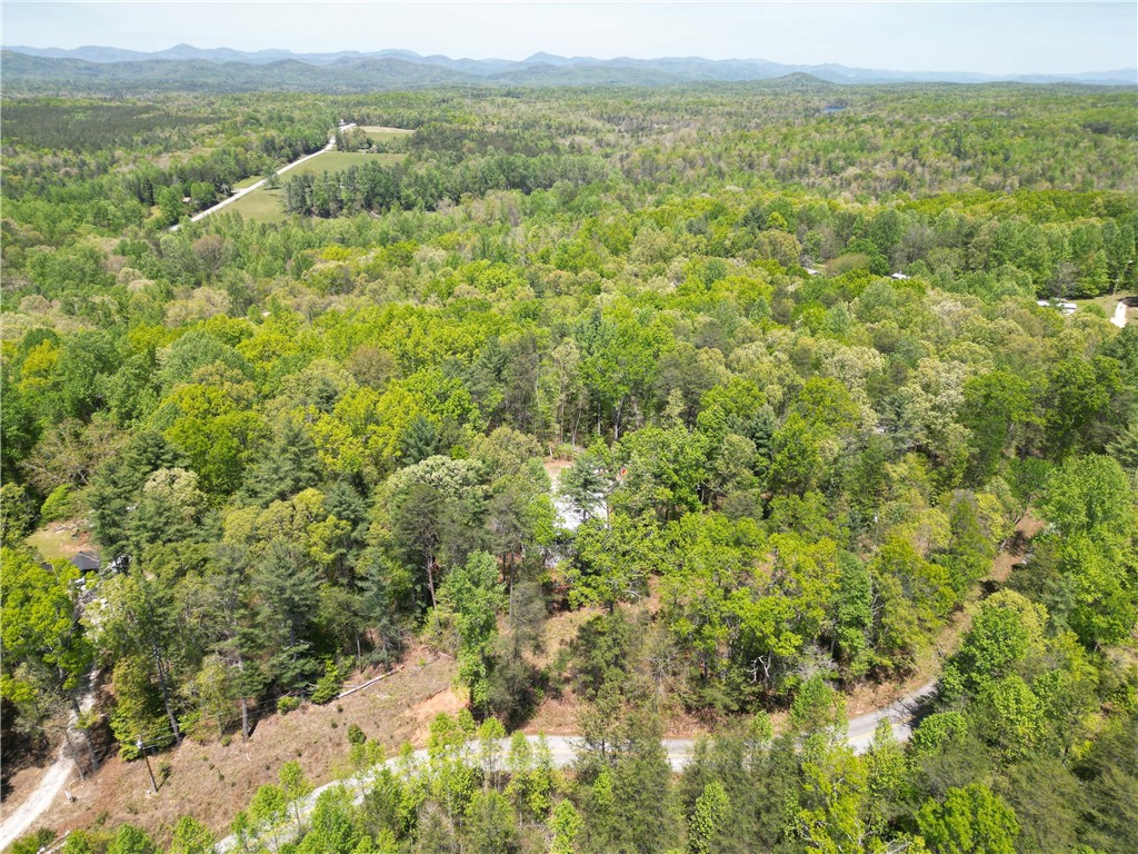 350 Tunnel Town Road