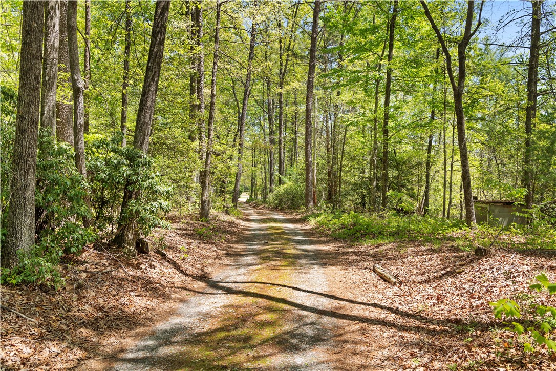 350 Tunnel Town Road