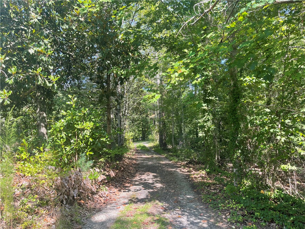 472 Stribling Shoals Road