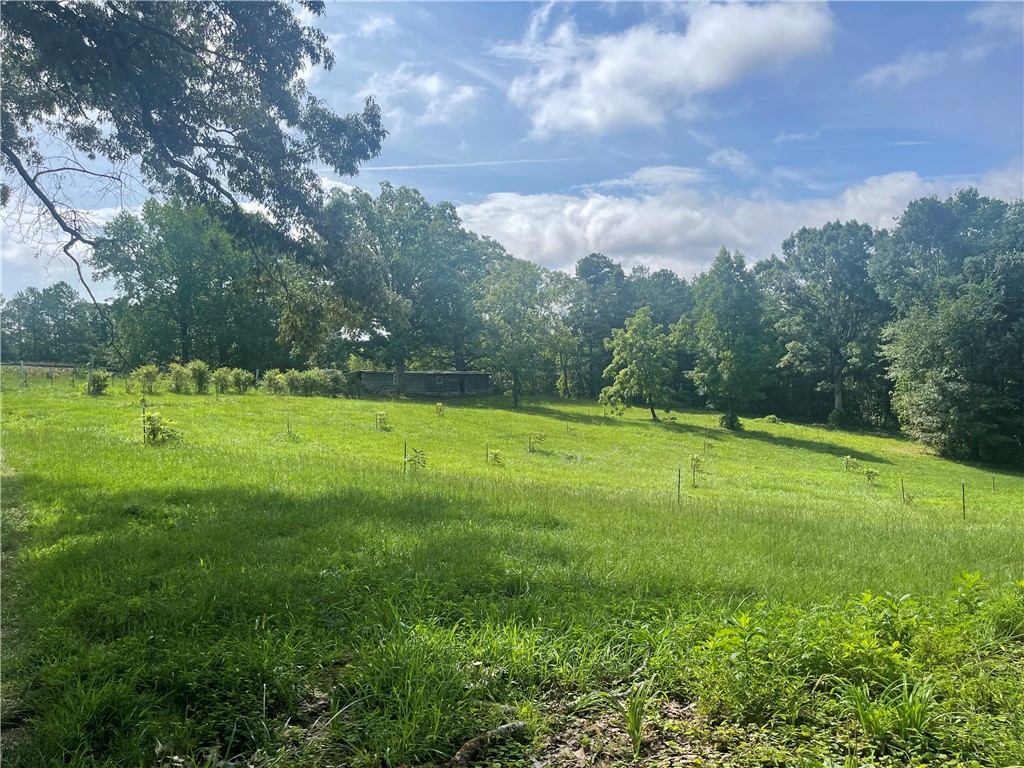 472 Stribling Shoals Road