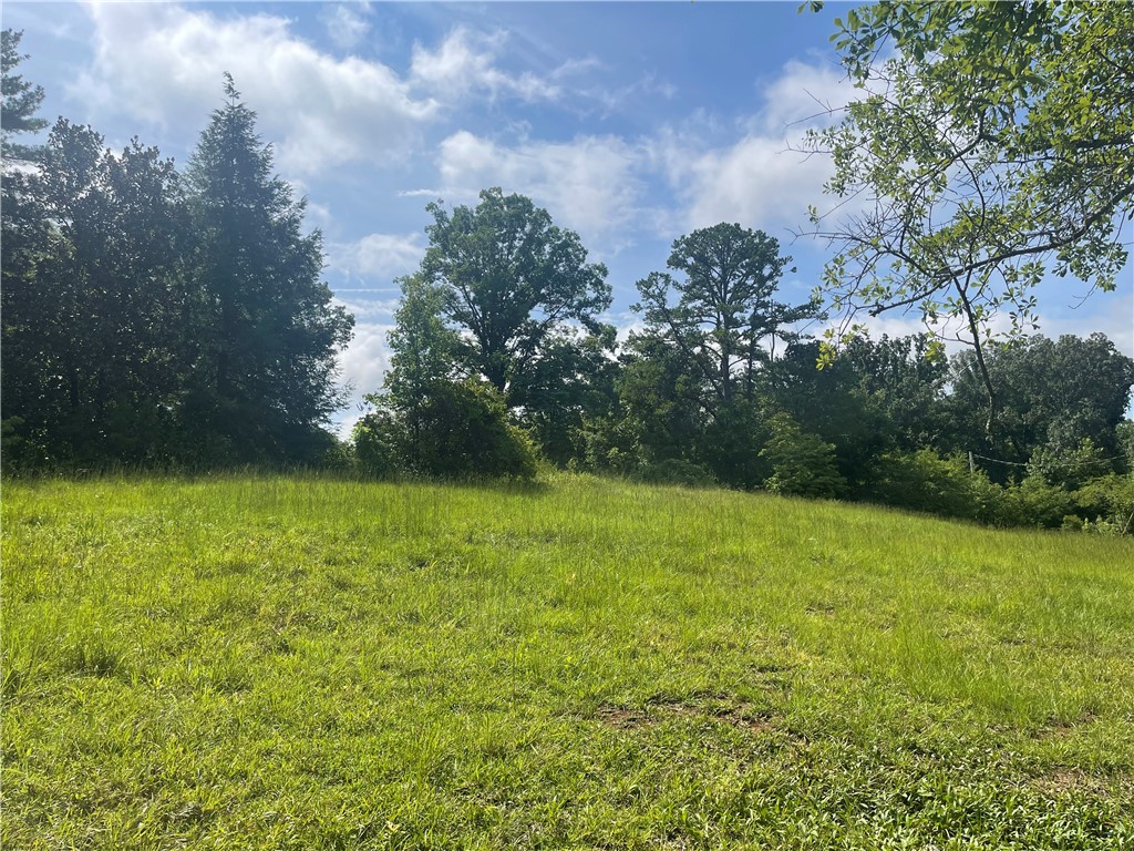 472 Stribling Shoals Road