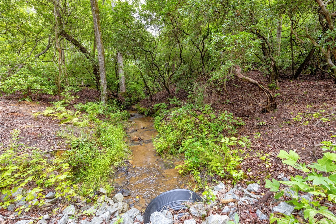 472 Stribling Shoals Road