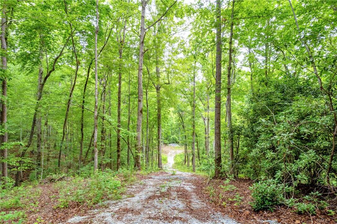 472 Stribling Shoals Road