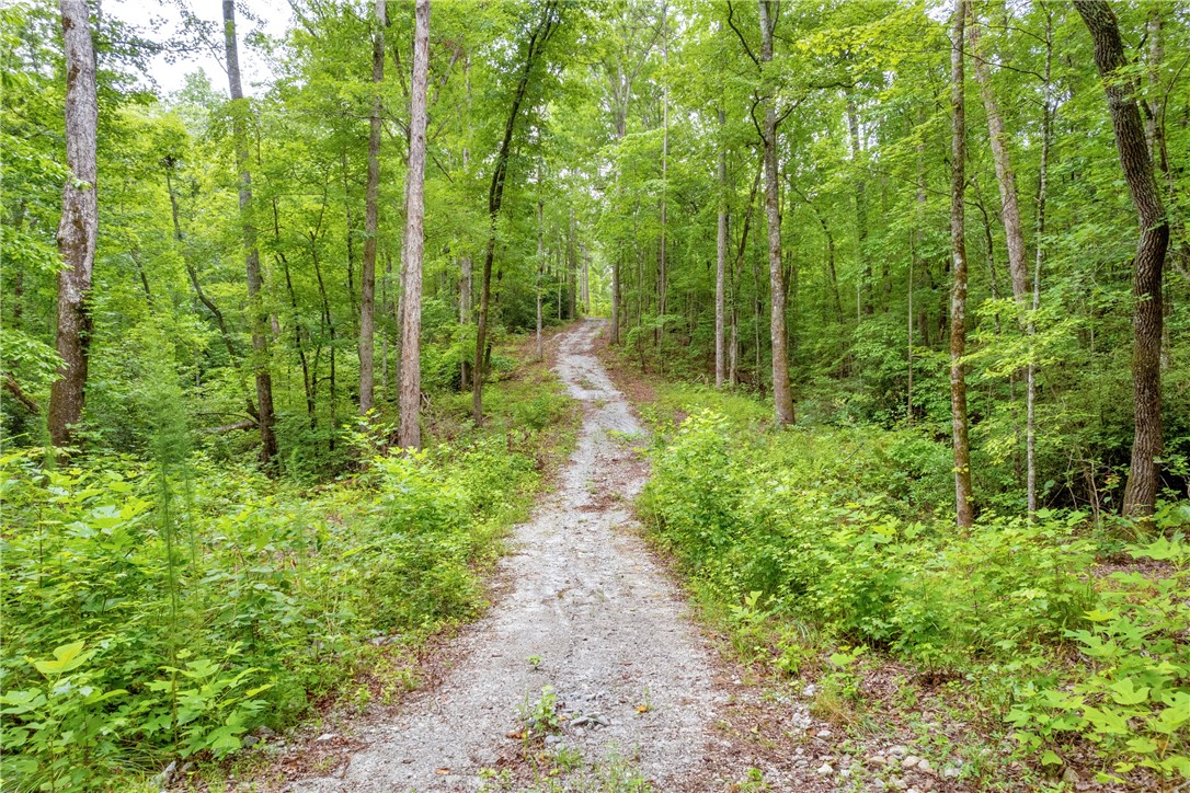 472 Stribling Shoals Road