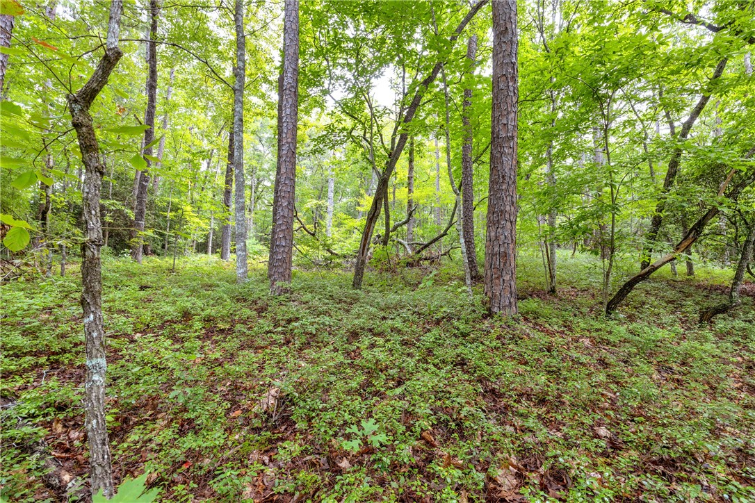 472 Stribling Shoals Road