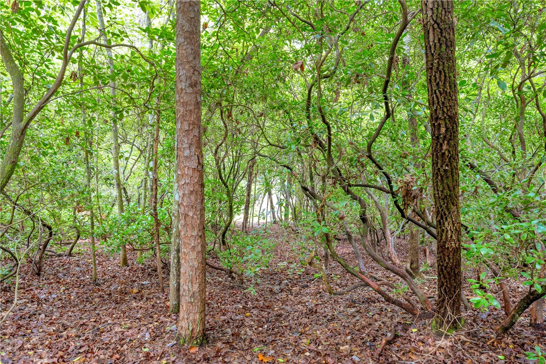 472 Stribling Shoals Road