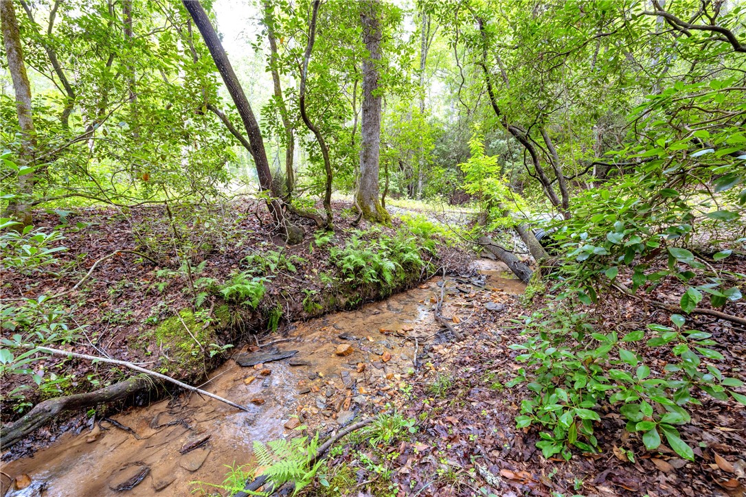 472 Stribling Shoals Road