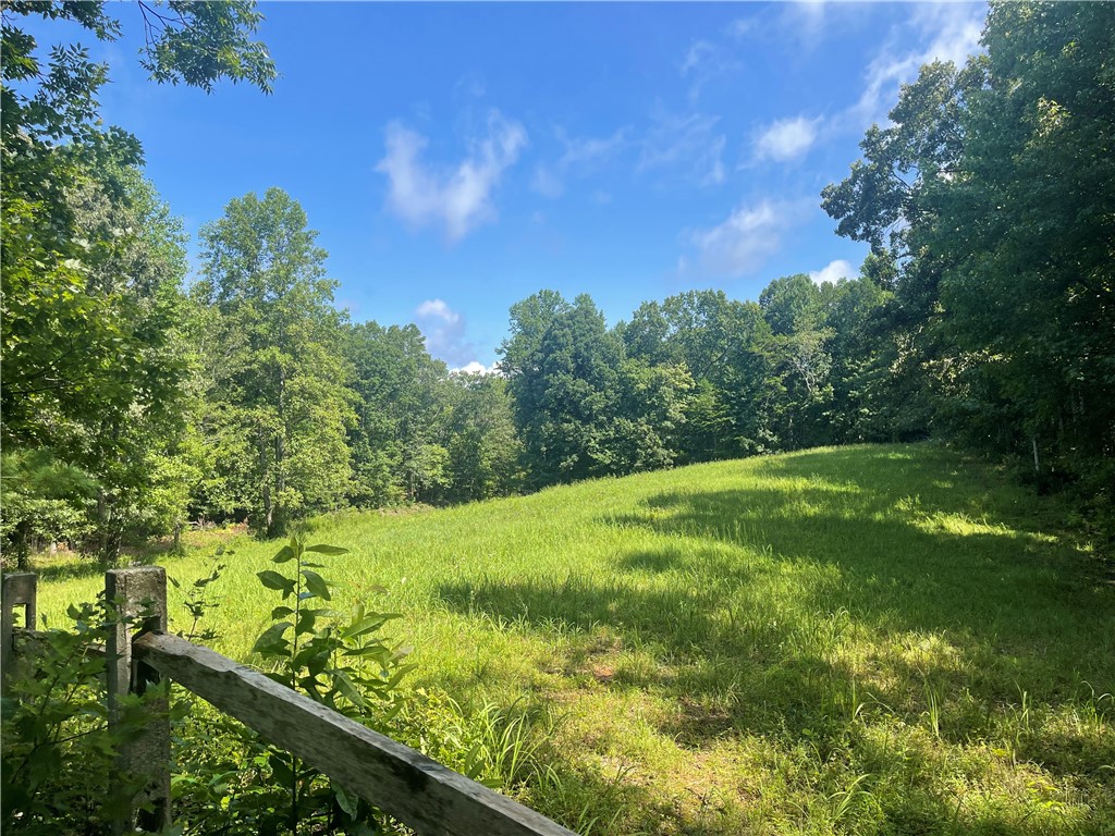 472 Stribling Shoals Road