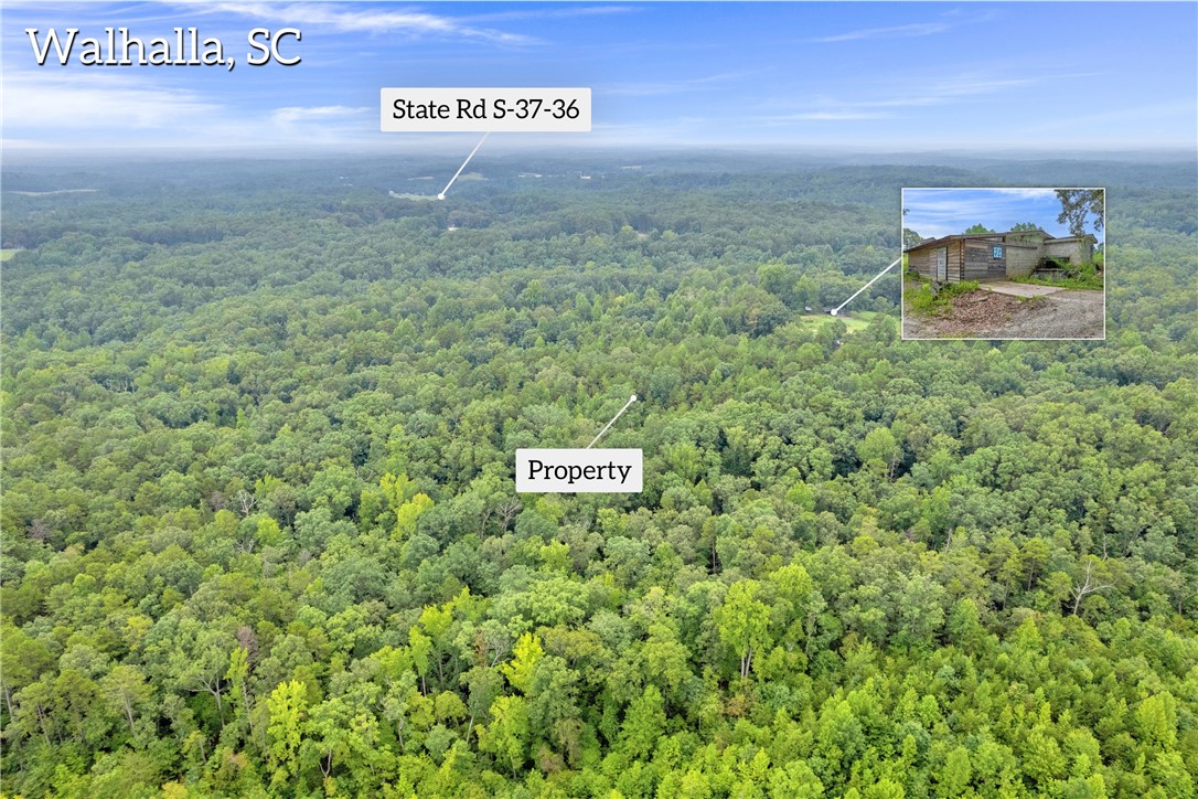 472 Stribling Shoals Road