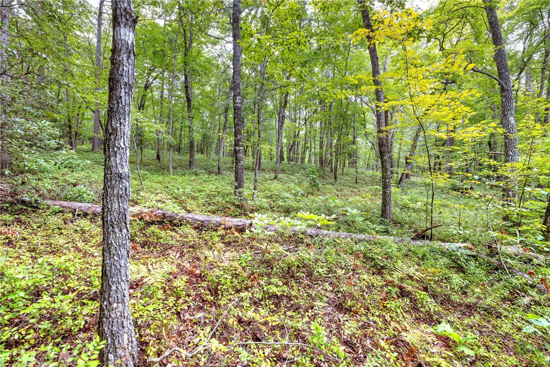 472 Stribling Shoals Road