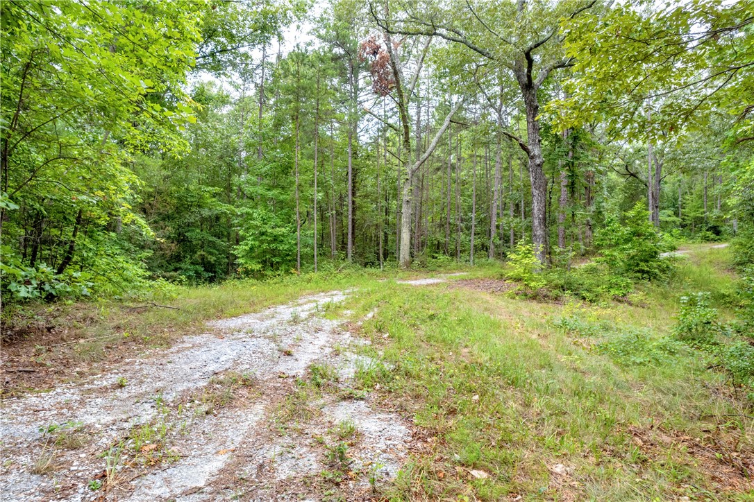 472 Stribling Shoals Road