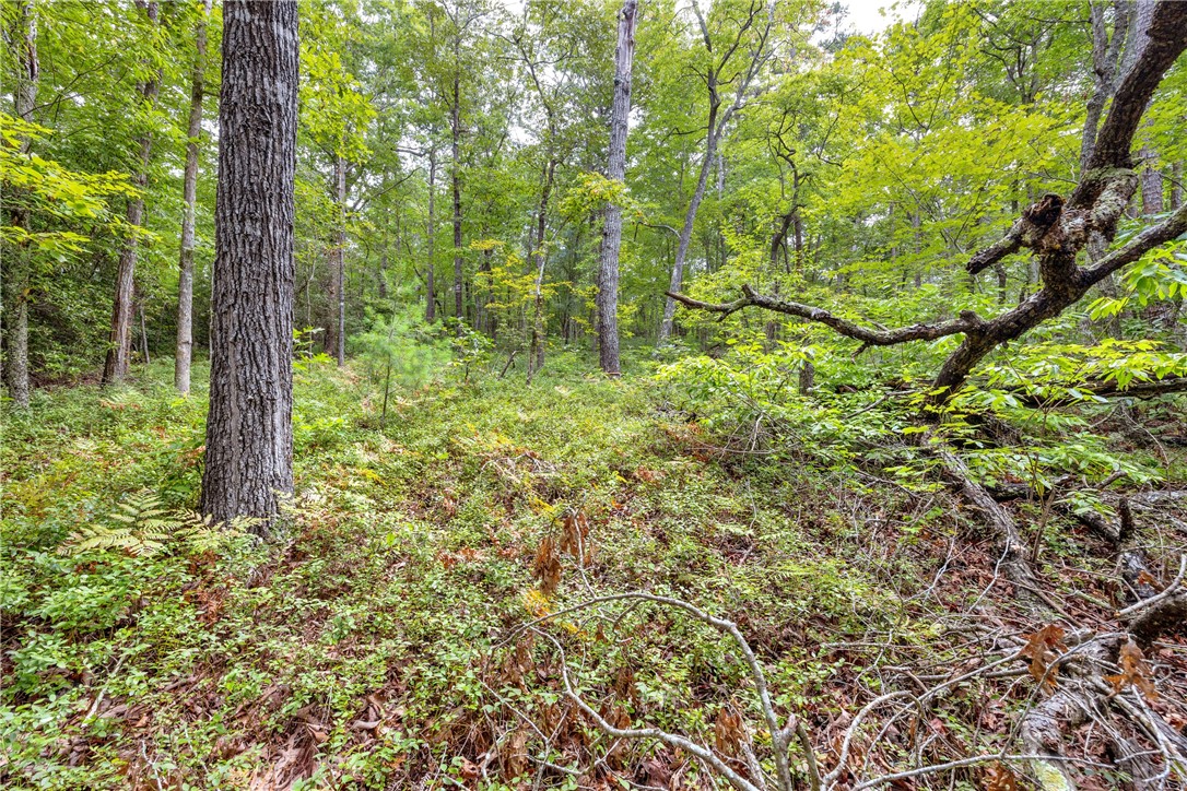 472 Stribling Shoals Road