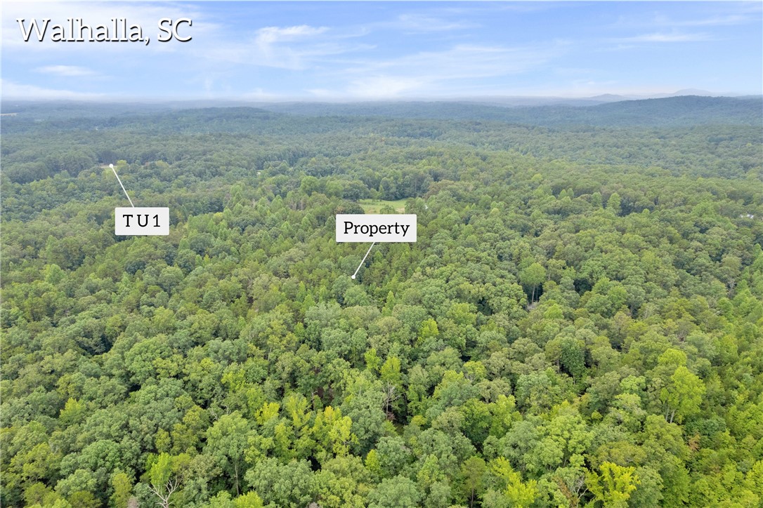 472 Stribling Shoals Road