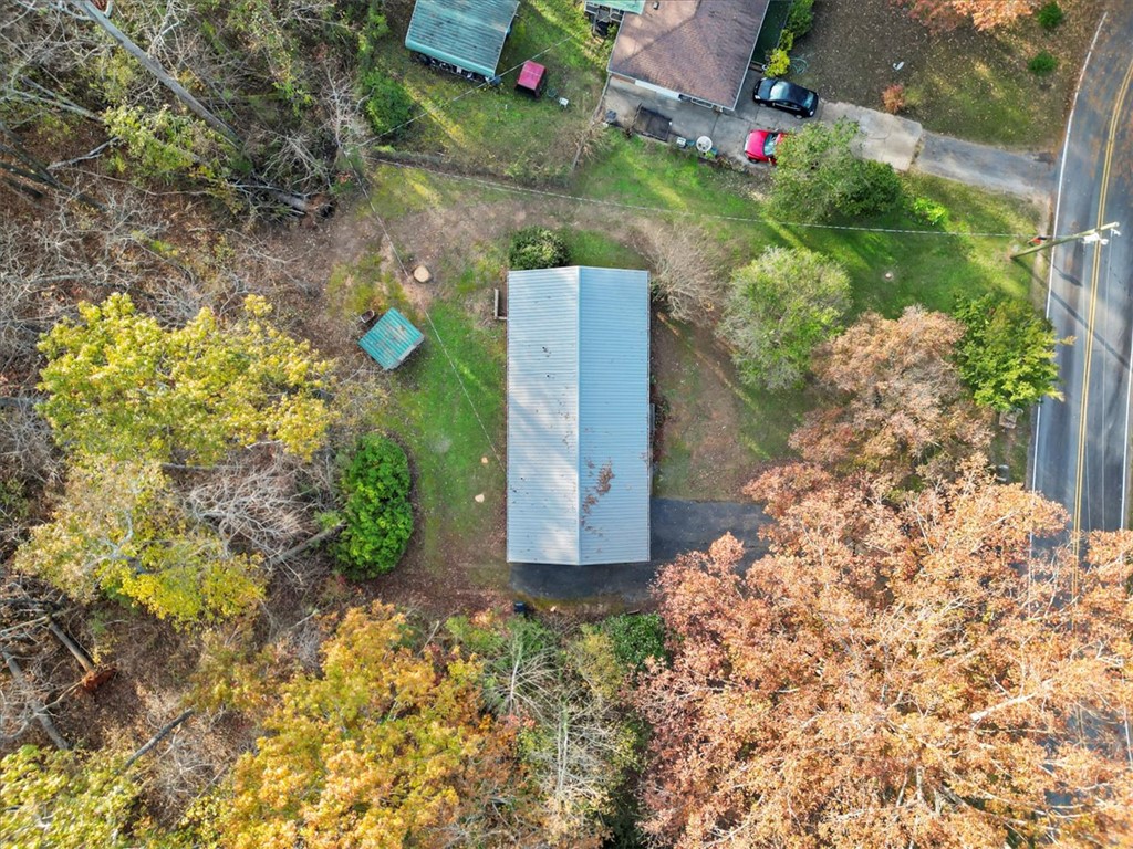 215 Shannon Forest Drive