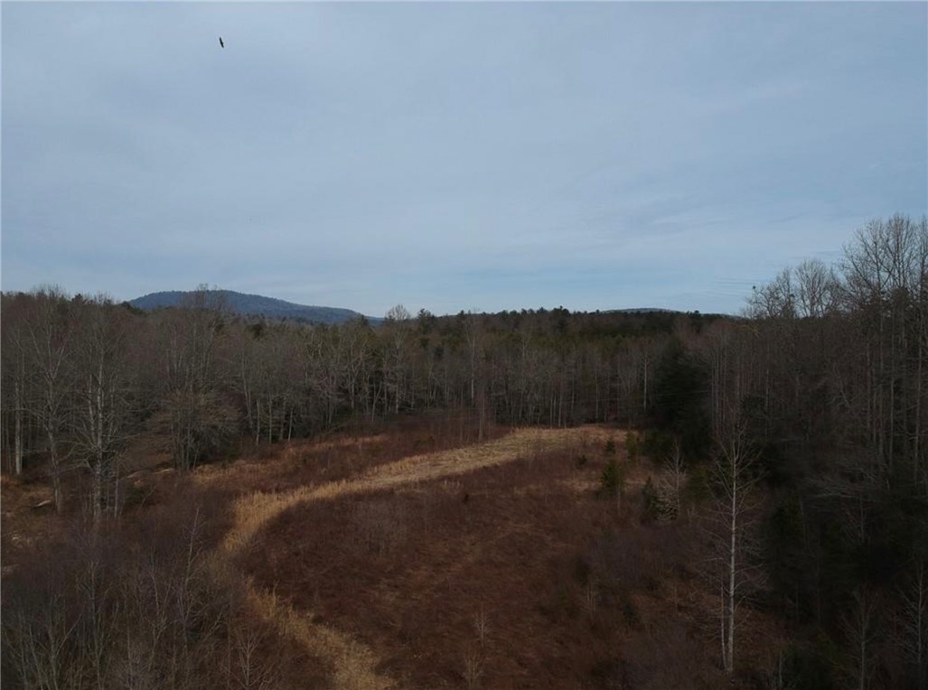 00-C Village Creek Road