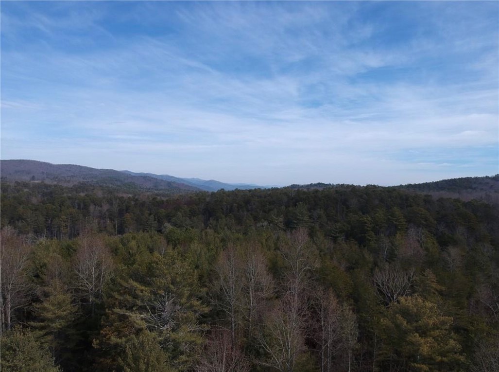 00-C Village Creek Road