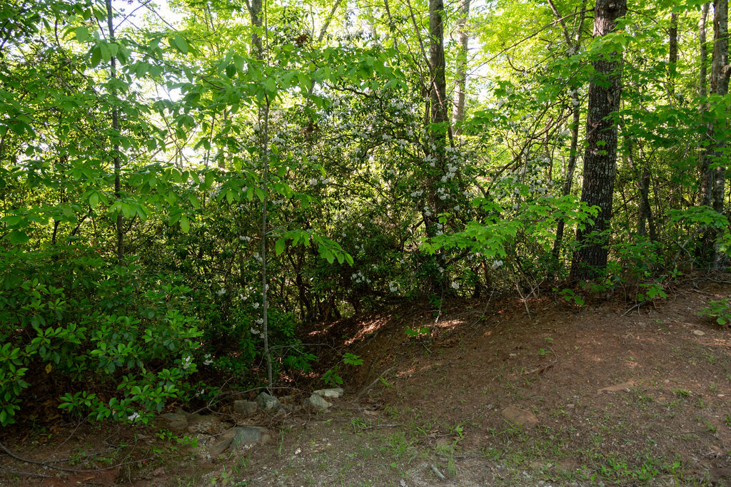 260 Eastatoe Parkway